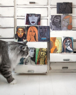 Cat walking by a collection of art postcards placed in drawers